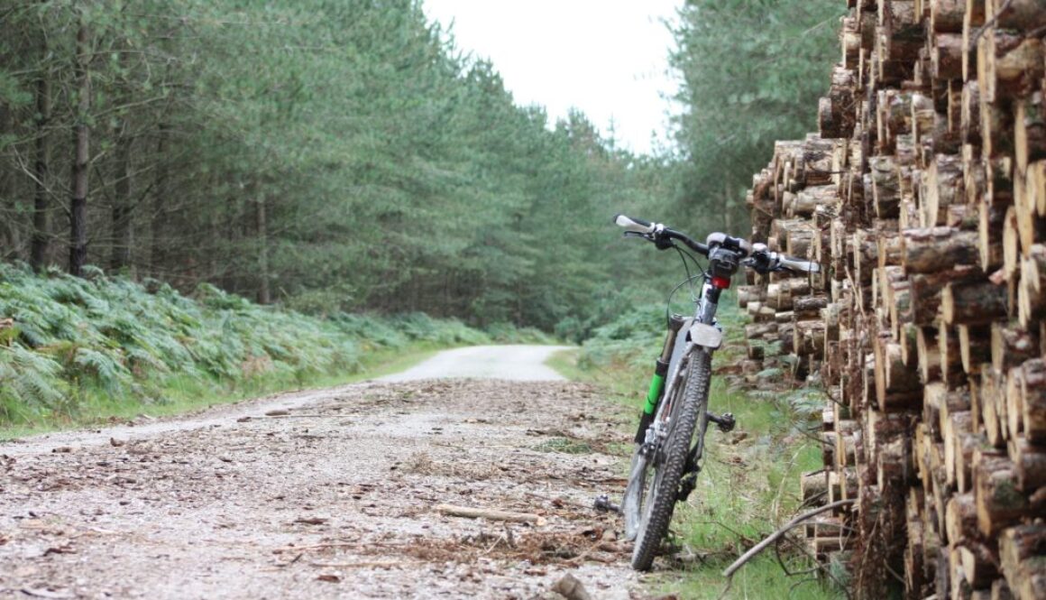 Mountain Bike With Sawn Wood Pile