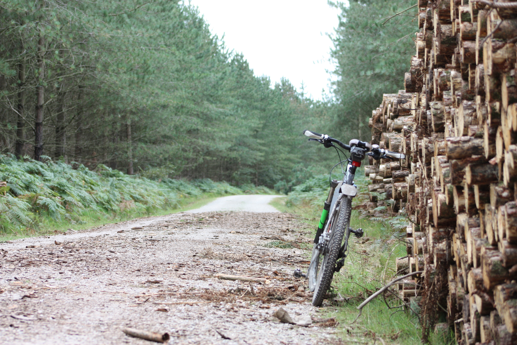 Mountain Bike With Sawn Wood Pile